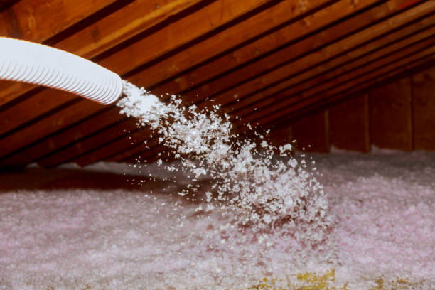 Best Spray Foam Insulation in Weyers Cave, VA